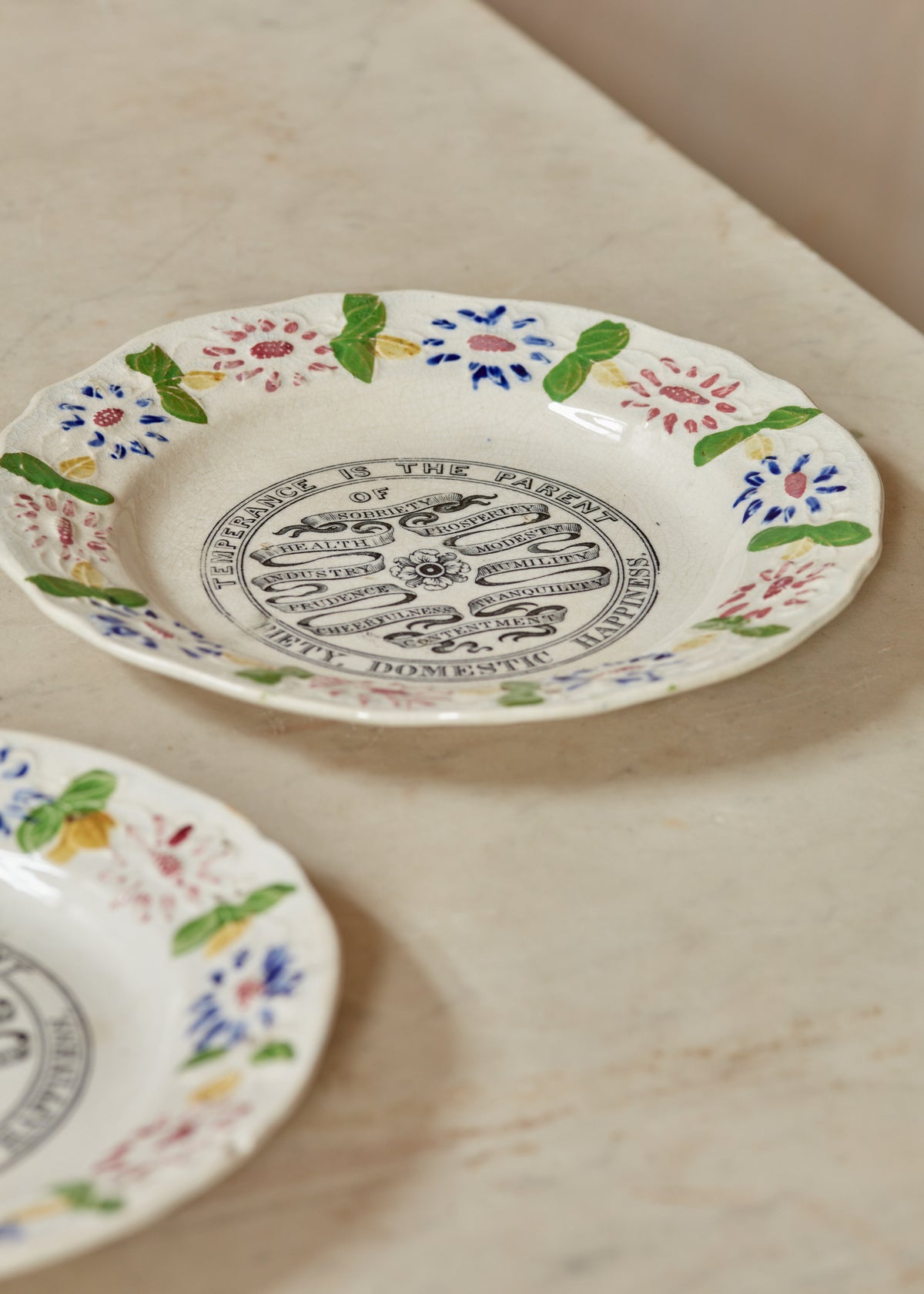 A pair of Staffordshire Pottery Plates