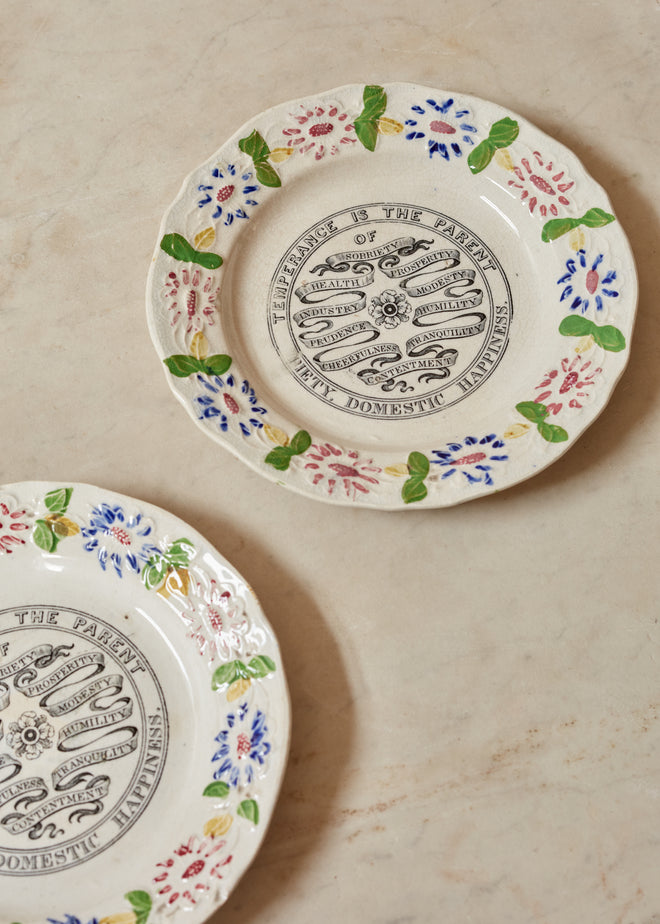 A pair of Staffordshire Pottery Plates