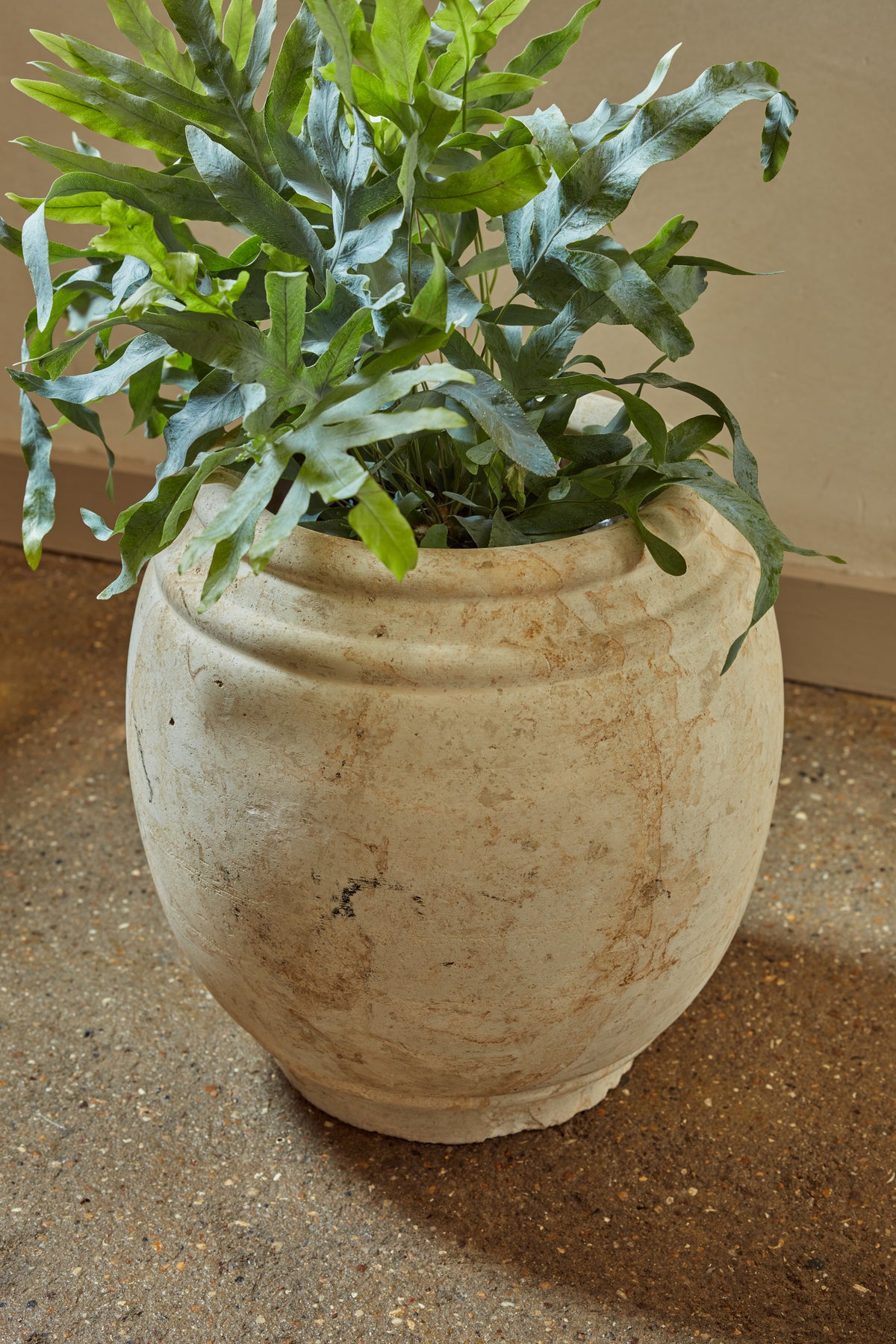 A Pair of Italian Carved Stone Mid Century "Cache Pots"