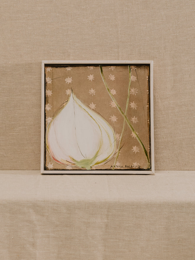 Garlic Bulb Oil on Canvas