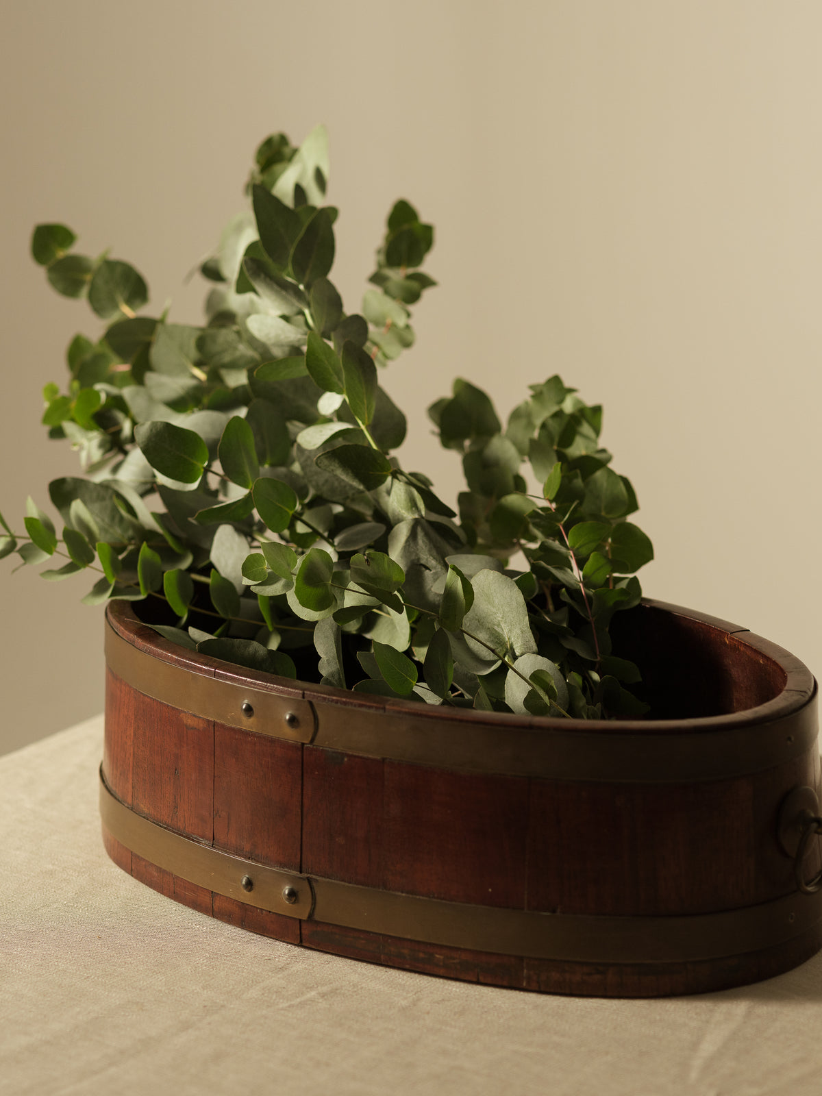 Victorian Oval Trough with Brass Strapwork